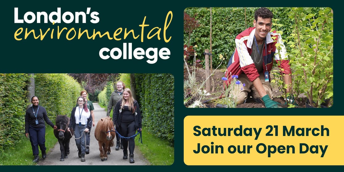 March Open Day invite