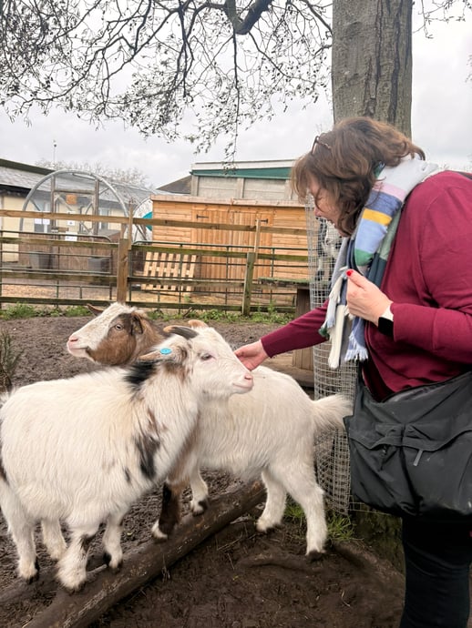 Discovery Day guests meeting our animals